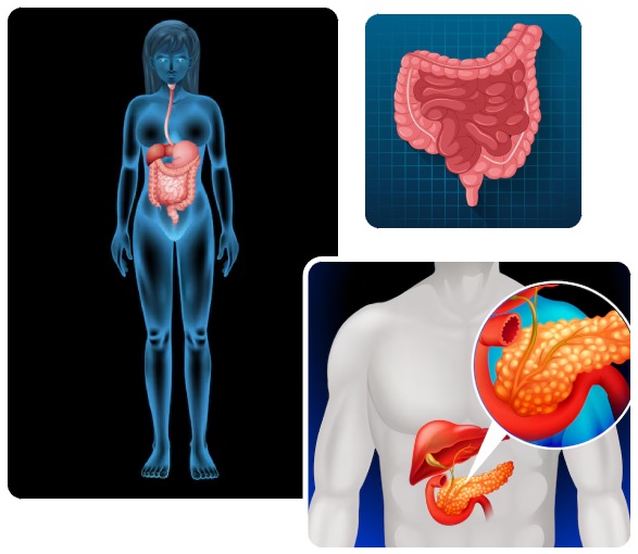Causes of Gastroenterology Problems Causes of Gastroenterology Problems