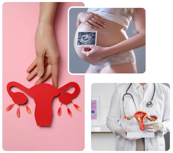 Causes of Gynecological & Obstetric Conditions Causes of Gynecological & Obstetric Conditions