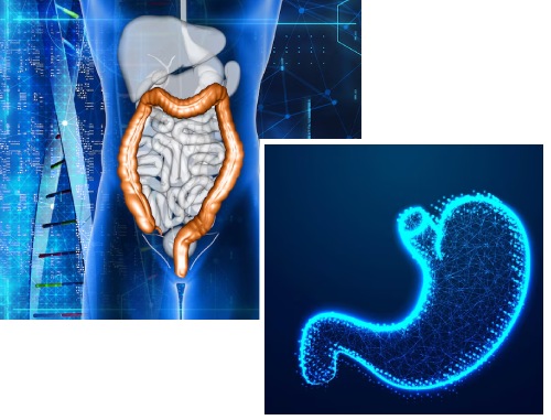 Types of Gastroenterology Conditions Types of Gastroenterology Conditions