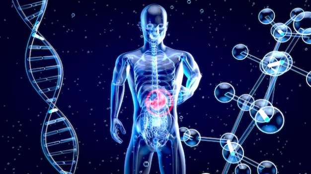 Symptoms of Gastroenterology Diseases Symptoms of Gastroenterology Diseases
