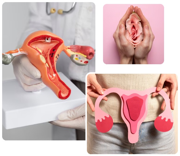 Gynecology & Obstetrics Clinic in Newtown Gynecology & Obstetrics Clinic in Newtown