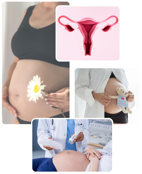 Types of Gynecological & Obstetric Conditions Types of Gynecological & Obstetric Conditions